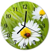 Zegar ścienny okrągły Stokrotki