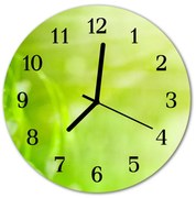 Zegar ścienny okrągły Trawa