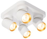 Lampa Sufitowa Andy 4xGU10 Kwadrat Biały + Złoty, 4 klosze, kierunkowy