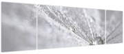 Obraz - Kropla wody (170x50 cm)