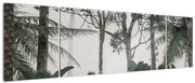 Obraz - dżungla w porannej mgle (170x50 cm)