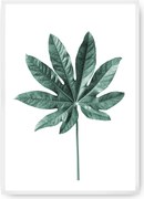 Plakat Leaf Emerald Green