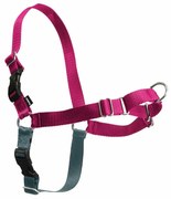 PetSafe Szelki EasyWalk malinowe L