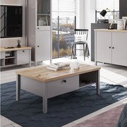 Stolik kawowy 110x40,5x60 cm szary