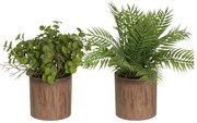 Sztuczne rośliny zestaw 2 szt. (wysokość 22 cm) – Casa Selección