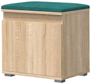 Minimalistyczna Szafka Na Buty Dąb Sonoma + Zielony P8-L19