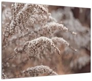 Obraz roślin (70x50 cm)