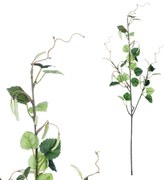 Sztuczna gałązka brzozy, 70 cm