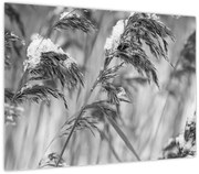 Obraz - Lipnice, czarno - biały (70x50 cm)