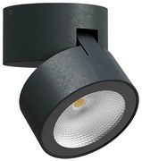 Redo 90627 - Zewnętrzna oprawa punktowa LED SHAFT, 13W/230V, IP65, antracyt