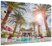 Obraz - palmy z basenem (70x50 cm)