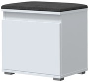 Szafka na buty z welurowym siedziskiem biały + szary C2-R64