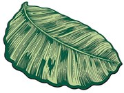 Zielony dywanik łazienkowy 60x100 cm Sheet – Foutastic