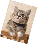 BedTex Koc dziecięcy Kotek Dzwoneczek, 150 x 200 cm