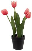 Sztuczny kwiat (wysokość 31 cm) Tulips – Ixia