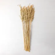 Bukiet Dekoracyjny Jayra Kremowa - Sklum