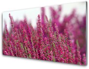 Panel Szklany Kwiaty Łąka Natura Roślina