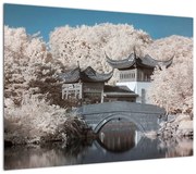 Obraz - Kwitnące drzewa w Azji (70x50 cm)