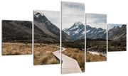 Obraz - Chodnik w dolinie góry Mt. Cook (125x70 cm)