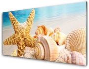 Obraz Akrylowy Rozgwiazda Muszla Sztuka