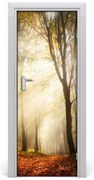 Naklejka na drzwi samoprzylepna Las jesienią