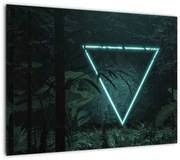 Obraz - Neonowy trójkąt w dżungli (70x50 cm)
