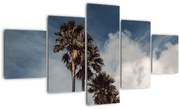 Obraz - Palmowy dramat (125x70 cm)