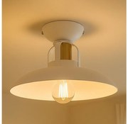 Brilagi - LED Żyrandol natynkowy FLAMENGO 1xE27/60W/230V biały