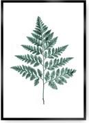 Plakat Fern Emerald Green