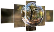 Obraz - Odbicie w szklanej kuli (125x70 cm)