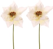 Zestaw poinsecji kwiat na łodydze, 2 szt., kremowy, 32 cm
