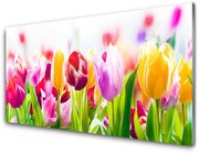 Panel Kuchenny Tulipany Kwiaty