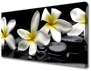 Obraz Canvas Piękny Kwiat Plumeria