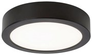 Rabalux 2692 - LED sufitowe światło łazienkowe SHAUN LED/24W/230V pr. 22 cm IP44
