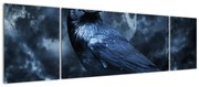 Obraz - Gawron (170x50 cm)