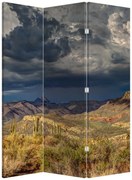 Parawan - Kaktusy w przyrodzie (126x170 cm)