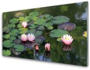 Obraz Akrylowy Lilia Wodna Staw Natura
