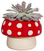 Kamionkowa doniczka ø 12 cm – Sass &amp; Belle