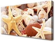 Obraz Canvas Rozgwiazda Muszle Plaża