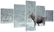Obraz - Łoś w śnieżnym lesie (125x70 cm)