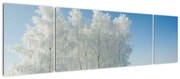 Obraz zaśnieżonego krajobrazu (170x50 cm)