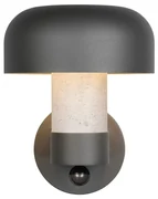 Zewnętrzna lampa ścienna (wysokość 24,5 cm) Fraser – Trio