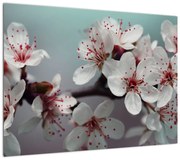 Obraz kwiatu - czerwony (70x50 cm)