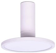 Rabalux 71328 - Oprawa sufitowa LED OVIDIA LED/20W/230V 3000K biała