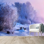 Fototapeta - Mróz (196x136 cm)