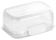 Tescoma Pojemnik FreshZONE, 31,5 x 21,5 cm, XL