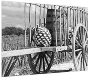 Obraz - Przyczepka, czarno - biały (70x50 cm)