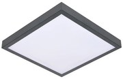 LED Plafon z czujnikiem VITALI LED/24W/230V 4000K