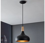 Eglo 900162 - Lampa wisząca SABINAR 1xE27/40W/230V pr. 28 cm