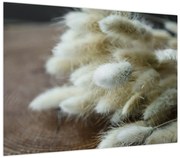 Obraz - Zajęczy ogonek (70x50 cm)